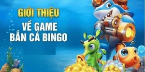 Bắn Cá Bingo 77WIN